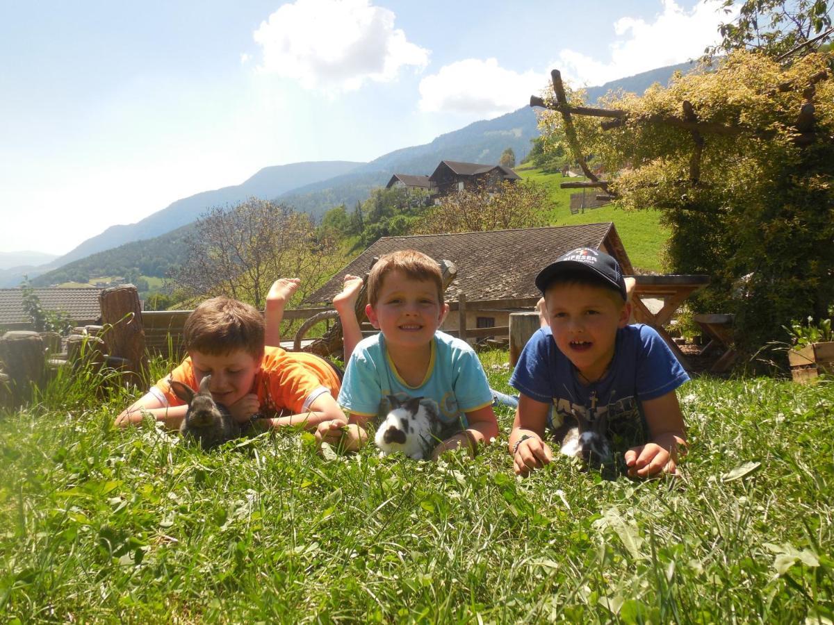 Schweiggerhof -Agriturismo- Farm Holidays Villandro Exterior foto
