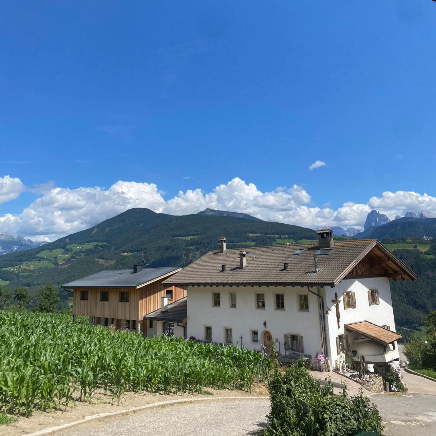 Schweiggerhof -Agriturismo- Farm Holidays Villandro Exterior foto