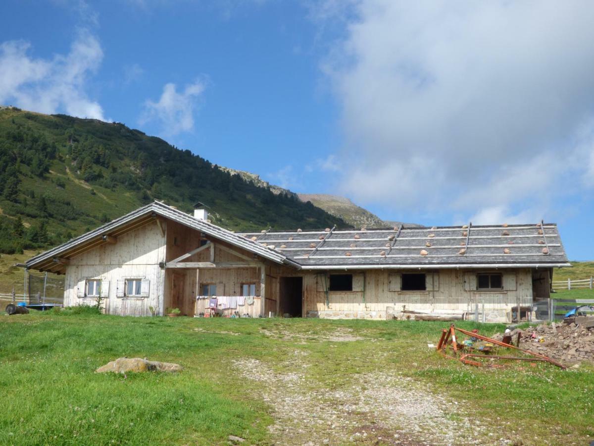 Schweiggerhof -Agriturismo- Farm Holidays Villandro Exterior foto